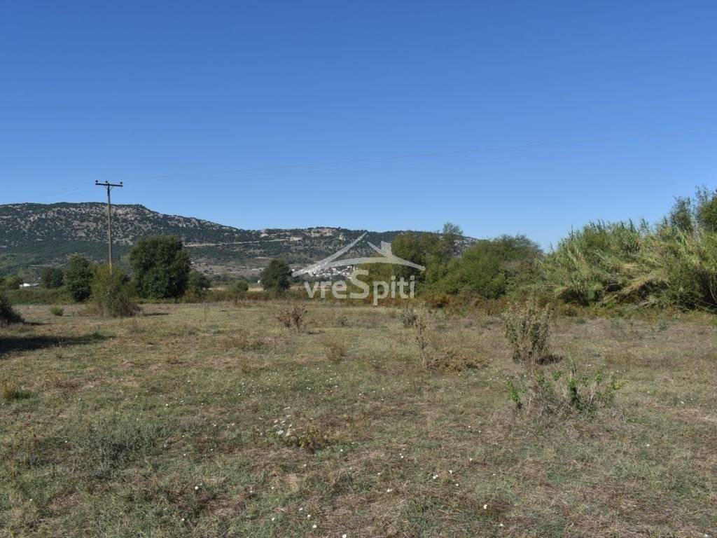 ΑΠΟΨΗ ΑΓΡΟΤΕΜΑΧΙΟΥ