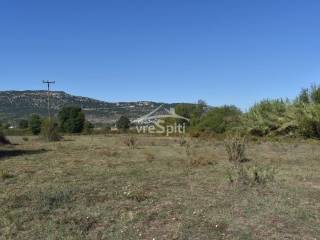 ΑΠΟΨΗ ΑΓΡΟΤΕΜΑΧΙΟΥ