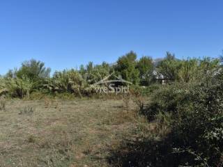 ΑΠΟΨΗ ΑΓΡΟΤΕΜΑΧΙΟΥ