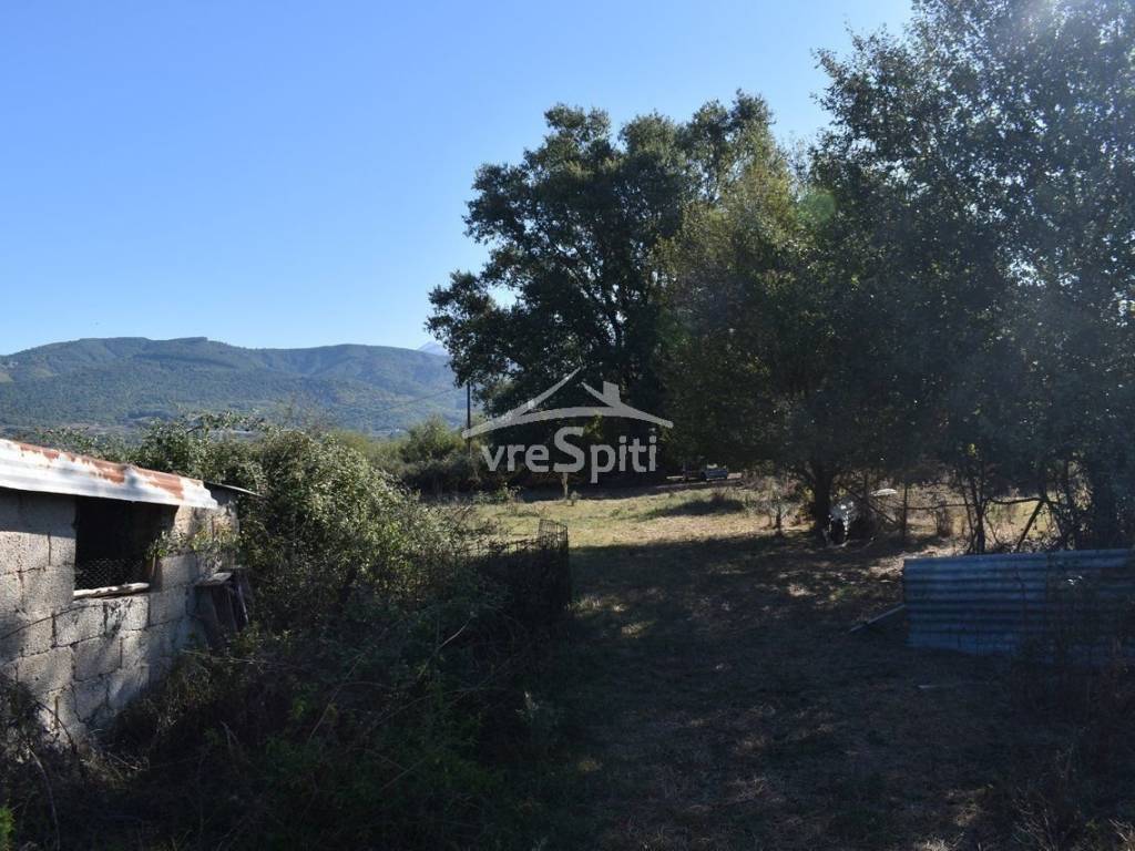 ΑΠΟΨΗ ΑΓΡΟΤΕΜΑΧΙΟΥ