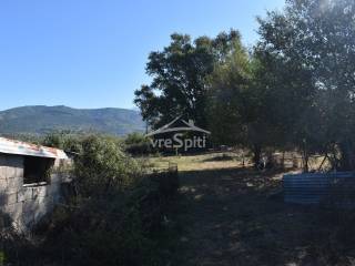 ΑΠΟΨΗ ΑΓΡΟΤΕΜΑΧΙΟΥ