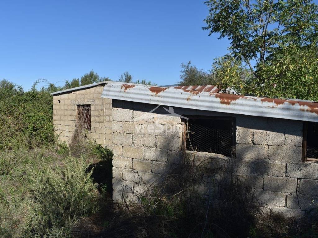 ΑΠΟΨΗ ΑΓΡΟΤΕΜΑΧΙΟΥ