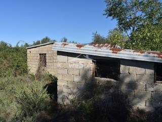 ΑΠΟΨΗ ΑΓΡΟΤΕΜΑΧΙΟΥ