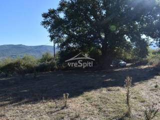 ΑΠΟΨΗ ΑΓΡΟΤΕΜΑΧΙΟΥ