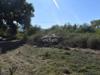 ΑΠΟΨΗ ΑΓΡΟΤΕΜΑΧΙΟΥ