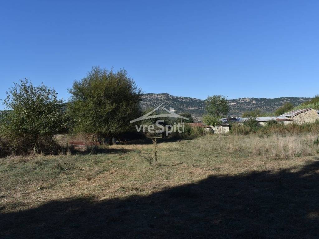 ΑΠΟΨΗ ΑΓΡΟΤΕΜΑΧΙΟΥ