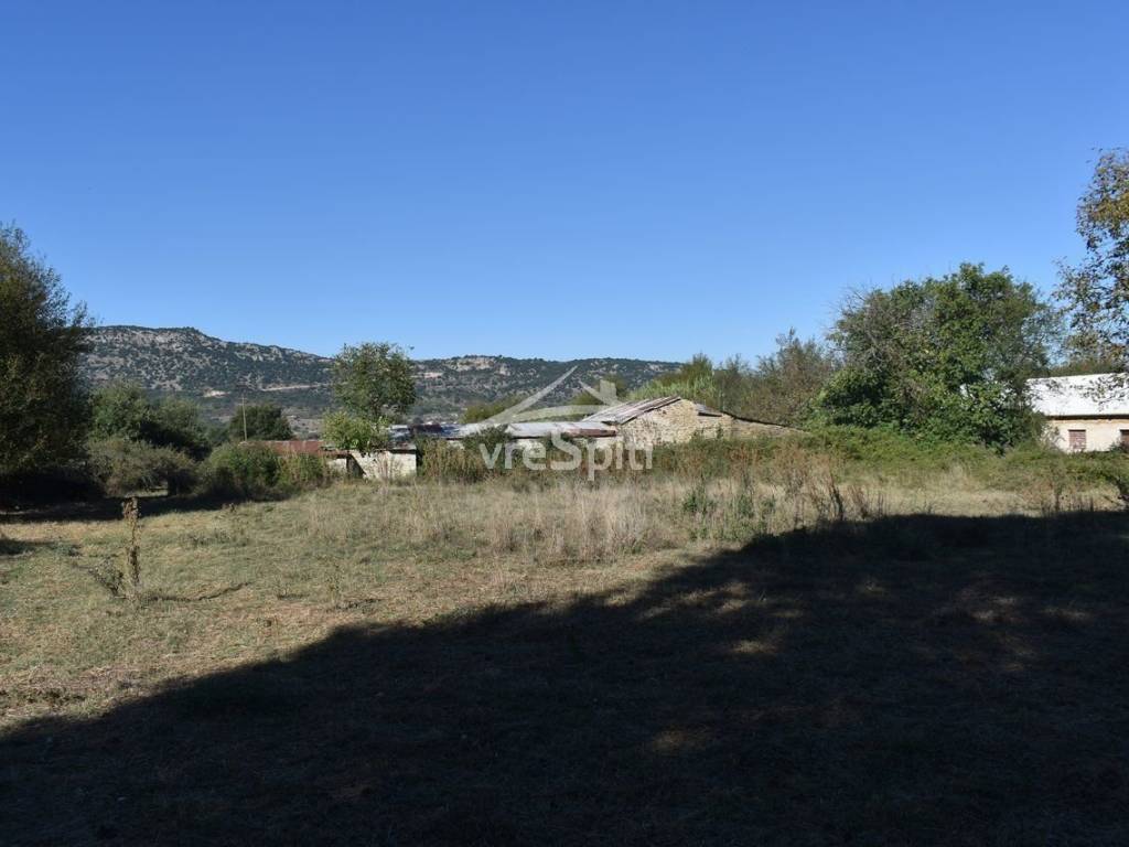 ΑΠΟΨΗ ΑΓΡΟΤΕΜΑΧΙΟΥ