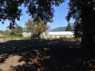 ΑΠΟΨΗ ΑΓΡΟΤΕΜΑΧΙΟΥ