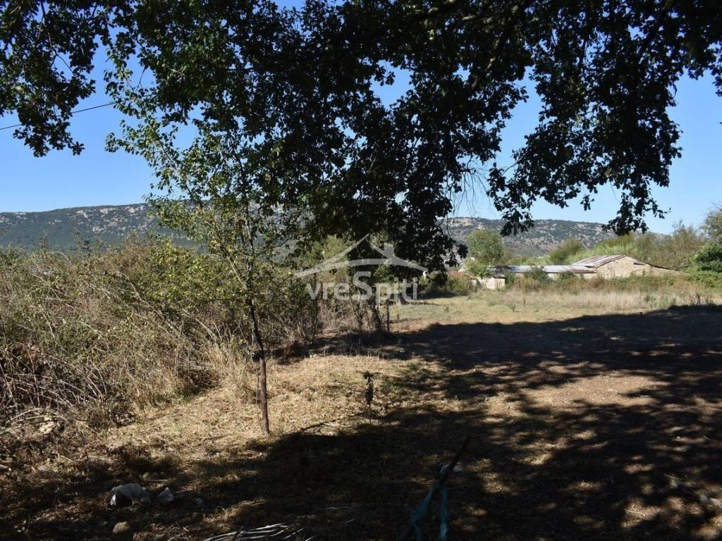 ΑΠΟΨΗ ΑΓΡΟΤΕΜΑΧΙΟΥ