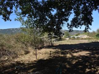 ΑΠΟΨΗ ΑΓΡΟΤΕΜΑΧΙΟΥ