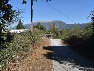 ΑΠΟΨΗ ΑΓΡΟΤΕΜΑΧΙΟΥ