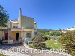 Άποψη εξωτερικού χώρου