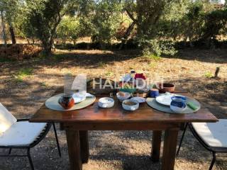 Ύπαρξη ανθρώπου