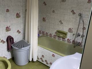 Forumland Real Estate, Μπάνιο