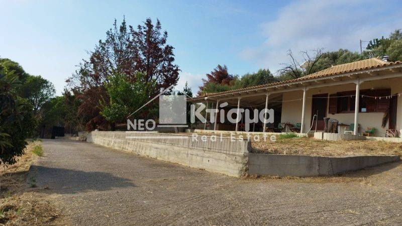 Εξωτερικός χώρος