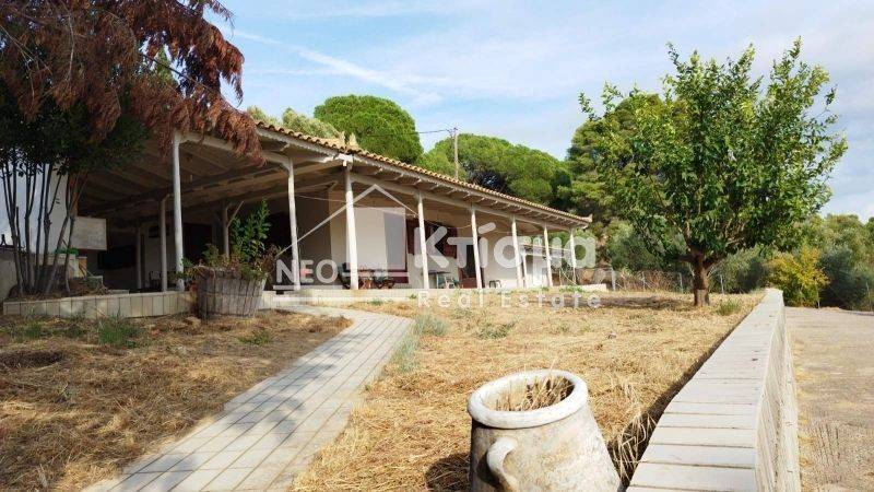 Εξωτερικός χώρος