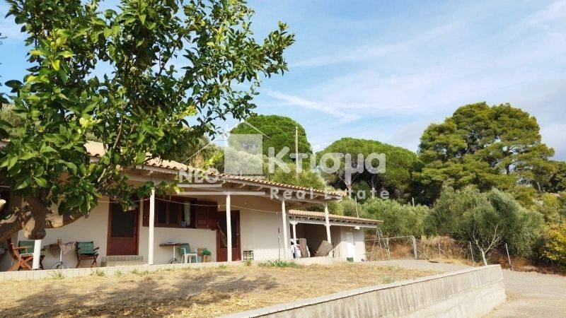 Εξωτερικός χώρος