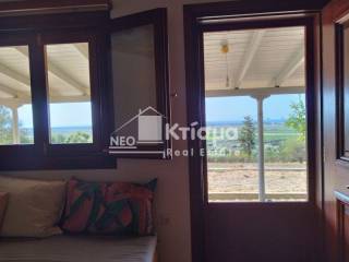 Ύπαρξη ανθρώπου