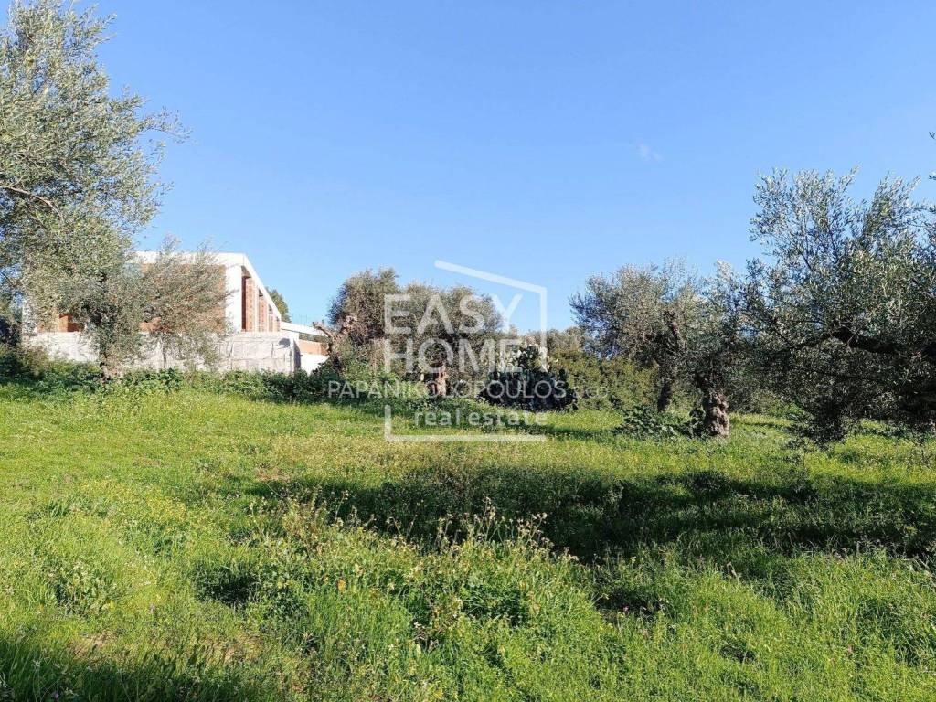 Εξωτερικοι χώροι