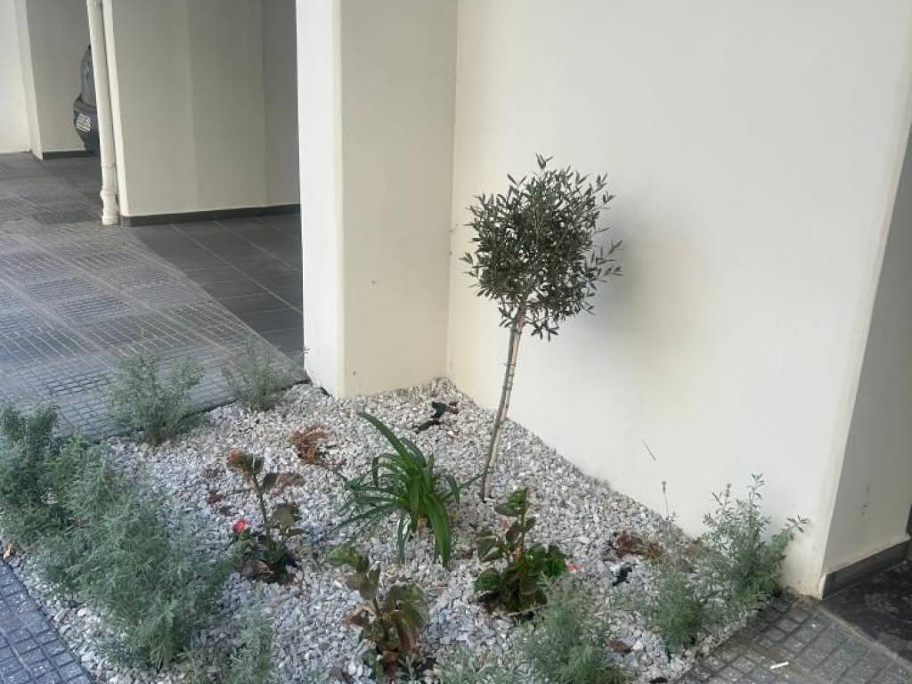 Άποψη εξωτερικού χώρου