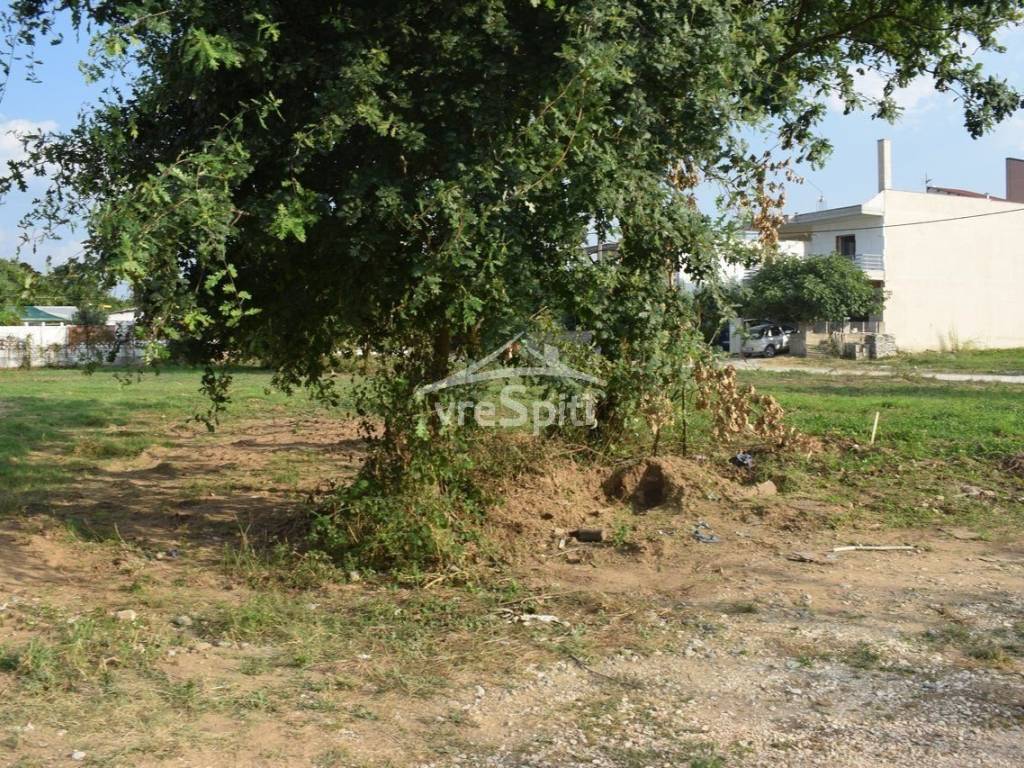 ΑΠΟΨΗ ΟΙΚΟΠΕΔΟΥ