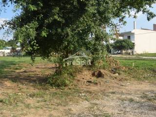 ΑΠΟΨΗ ΟΙΚΟΠΕΔΟΥ