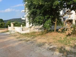 ΑΠΟΨΗ ΟΙΚΟΠΕΔΟΥ