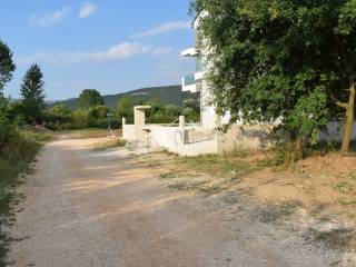 ΑΠΟΨΗ ΟΙΚΟΠΕΔΟΥ