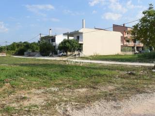 ΑΠΟΨΗ ΟΙΚΟΠΕΔΟΥ