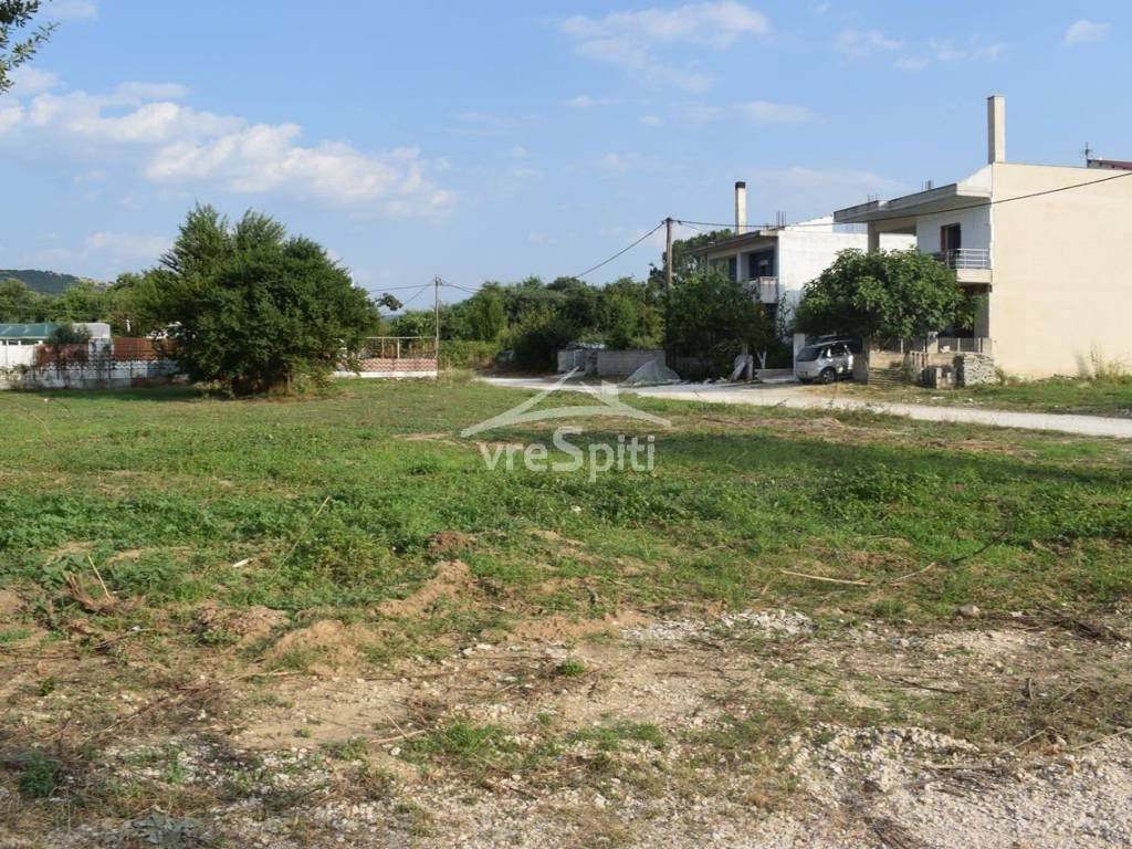 ΑΠΟΨΗ ΟΙΚΟΠΕΔΟΥ