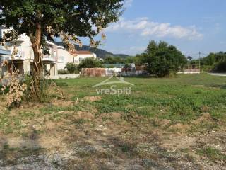 ΑΠΟΨΗ ΟΙΚΟΠΕΔΟΥ