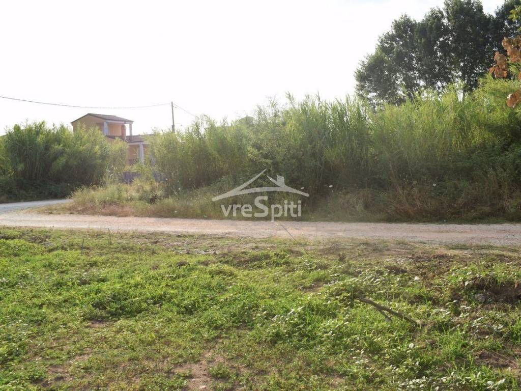 ΑΠΟΨΗ ΟΙΚΟΠΕΔΟΥ