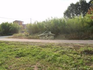 ΑΠΟΨΗ ΟΙΚΟΠΕΔΟΥ