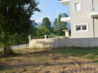 ΑΠΟΨΗ ΟΙΚΟΠΕΔΟΥ