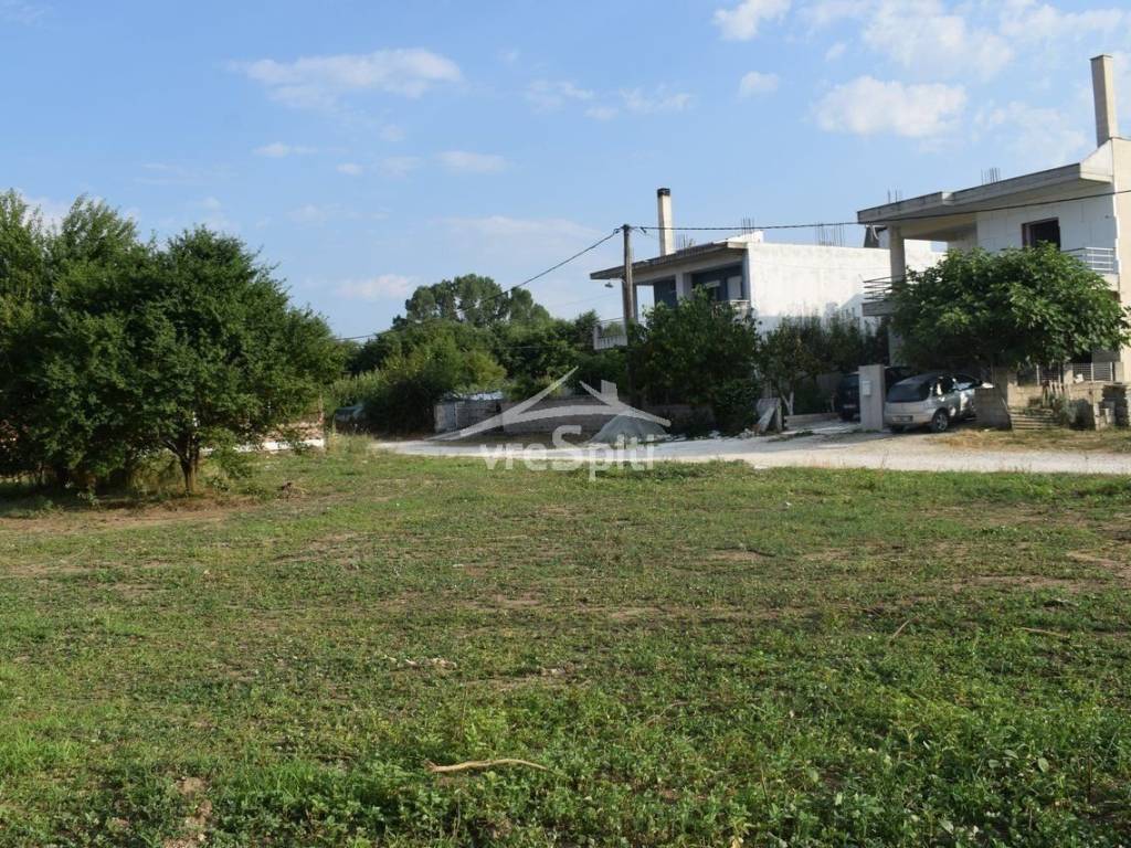 ΑΠΟΨΗ ΟΙΚΟΠΕΔΟΥ