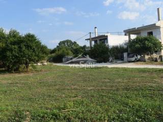 ΑΠΟΨΗ ΟΙΚΟΠΕΔΟΥ