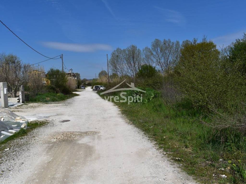 ΑΠΟΨΗ ΟΙΚΟΠΕΔΟΥ