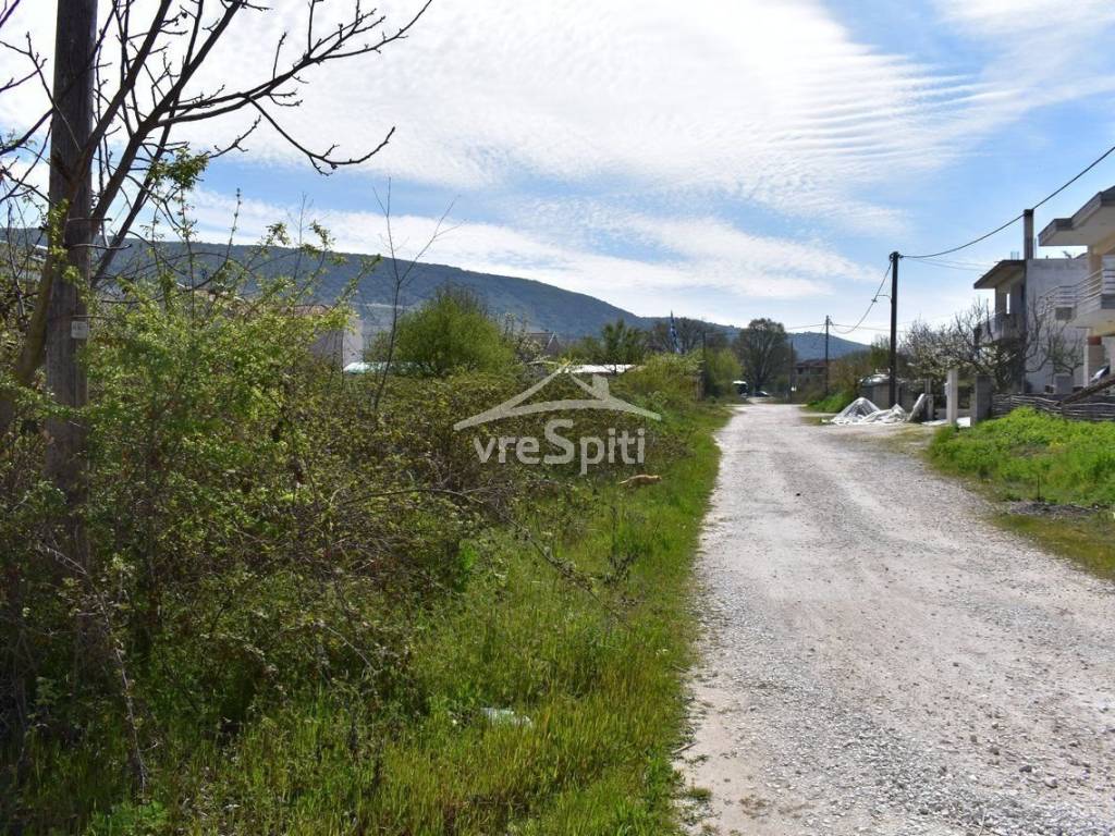 ΑΠΟΨΗ ΟΙΚΟΠΕΔΟΥ