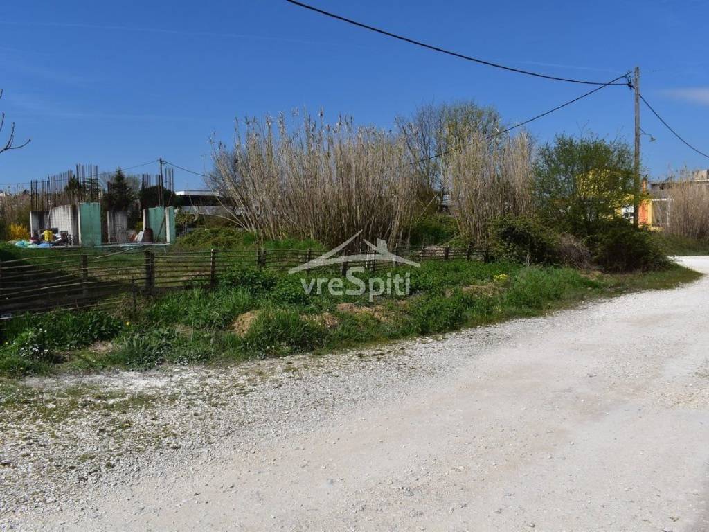 ΑΠΟΨΗ ΟΙΚΟΠΕΔΟΥ