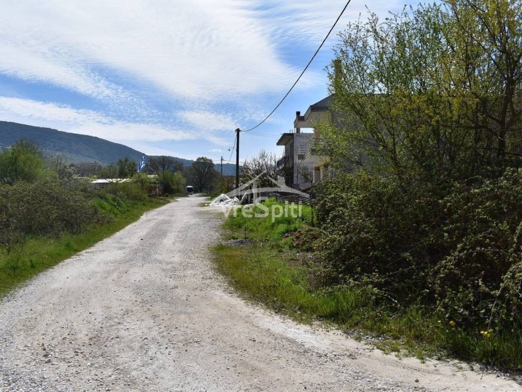 ΑΠΟΨΗ ΟΙΚΟΠΕΔΟΥ