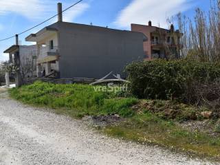 ΑΠΟΨΗ ΟΙΚΟΠΕΔΟΥ