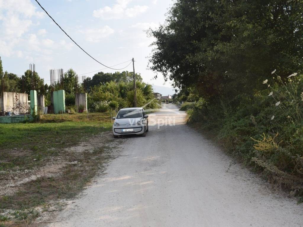 ΑΠΟΨΗ ΟΙΚΟΠΕΔΟΥ