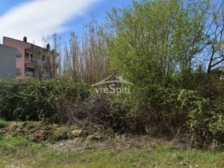 ΑΠΟΨΗ ΟΙΚΟΠΕΔΟΥ