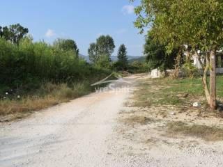 ΑΠΟΨΗ ΟΙΚΟΠΕΔΟΥ