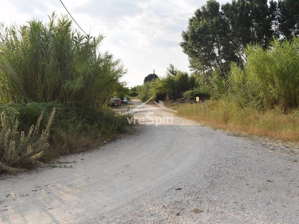 ΑΠΟΨΗ ΟΙΚΟΠΕΔΟΥ