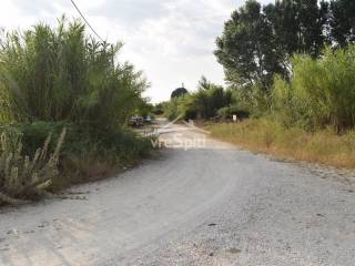 ΑΠΟΨΗ ΟΙΚΟΠΕΔΟΥ