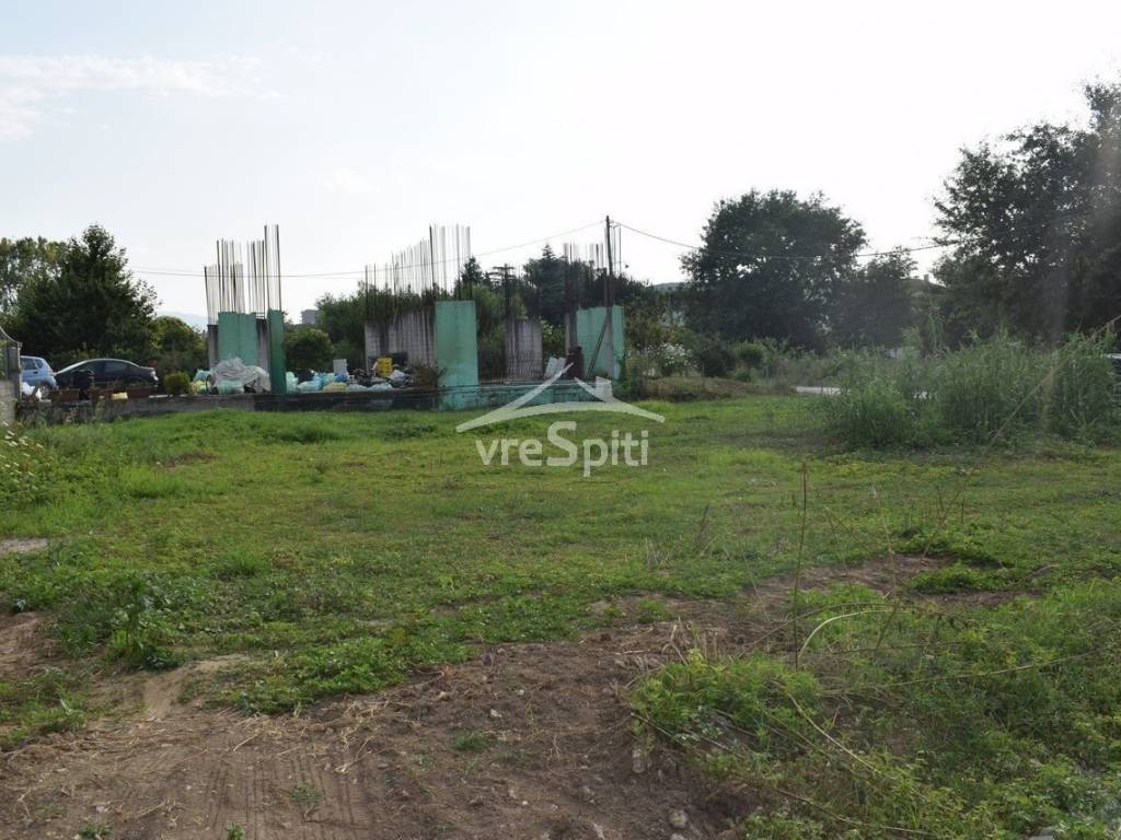 ΑΠΟΨΗ ΟΙΚΟΠΕΔΟΥ