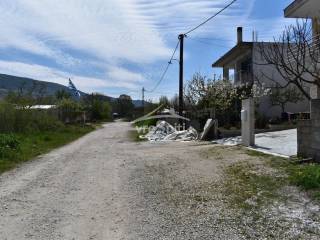 ΑΠΟΨΗ ΟΙΚΟΠΕΔΟΥ