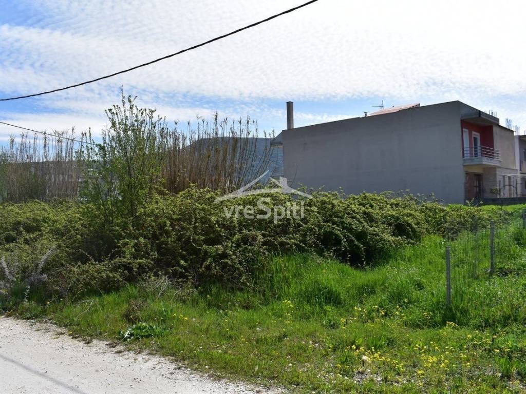 ΑΠΟΨΗ ΟΙΚΟΠΕΔΟΥ