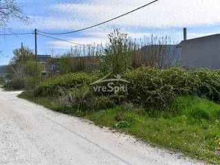 ΑΠΟΨΗ ΟΙΚΟΠΕΔΟΥ